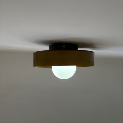 Sleek and Elegant Flush Mount Ceiling Light with Clear Glass Shade