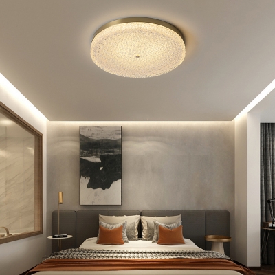 Gold LED Flush Mount Modern Ceiling Light with Clear Glass Shade - for Residential Use