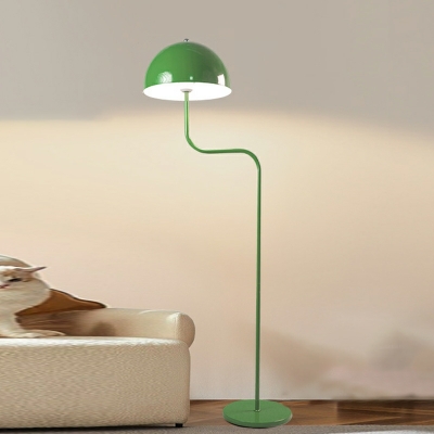 Contemporary Dome-Shaped Metal Floor Lamp with LED Light and Foot Switch