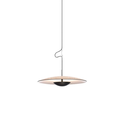 Modern Hanging Pendant Light with Adjustable Length and Iron Shade