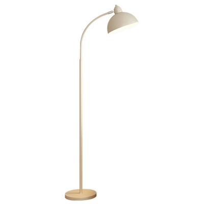 Modern LED Floor Lamp with Iron Dome Shade and Rocker Switch