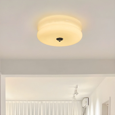 Modern Metal Flush Mount Ceiling Light with Clear Glass Shade - 3 Color Light