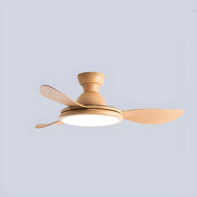 Modern Plastic Indoor Ceiling Fan 3 Blades for Residential Use
