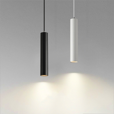 Sleek Modern Metal Pendant Light with Adjustable Hanging Length and LED Bulbs