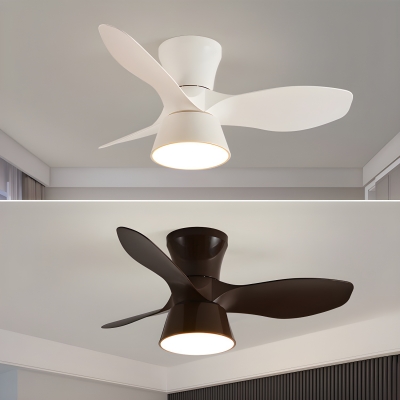 Elegant Acrylic Blade Ceiling Fan with Stepless Dimming Remote Control