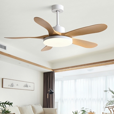 Modern Acrylic Ceiling Fan with Remote Control and Dimmable Lighting