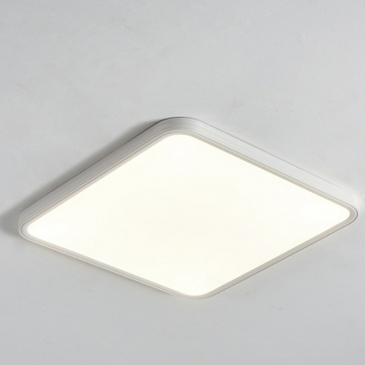 Elegant Metal LED Flush Mount Close To Ceiling Light with Acrylic Shade for Living Room