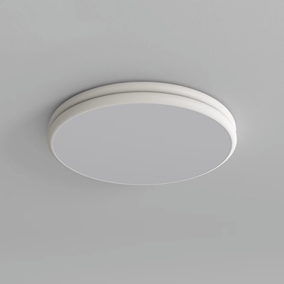Modern LED Bulb Acrylic Close To Ceiling Light with Third Gear Warm/White/Neutral Light