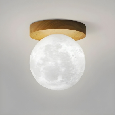 Contemporary Globe Semi-flushmount Ceiling Light for Living Room