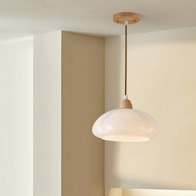 Modern Adjustable Hanging Length Pendant Light with Glass Lampshade