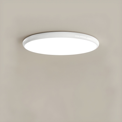 Modern Acrylic Lampshade Flush Mount Ceiling Light For Living Room