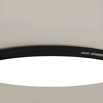 Modern Acrylic Lampshade Flush Mount Ceiling Light For Living Room