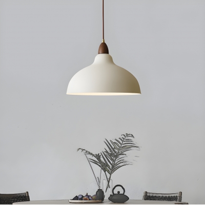 Contemporary Metal Adjustable Hanging Length Pendant Light with Iron Shade