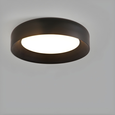Modern 1-Light Metal Flush Mount Ceiling Light with Acrylic Lampshade