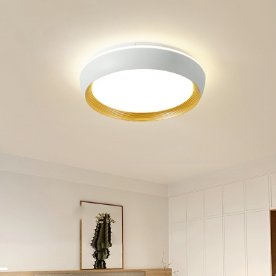 Modern Metal Flush Mount Ceiling Light Fixture with Round Shape