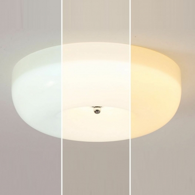 Modern Glass Lampshade Flushmount Ceiling Light with Integrated Led