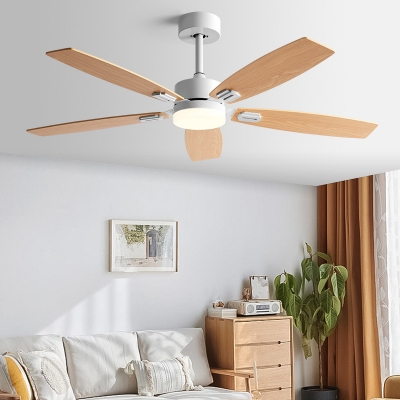 Scandinavian Acrylic Lampshade Ceiling Fans with Integrated Led