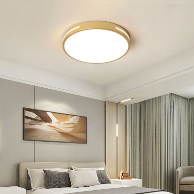 Trendy  Circle Iron Flat Mounted  Flush Mount Light with Direct Wired Electric for Living Room