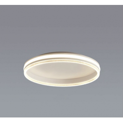 Modern Metal Round Flushmount Ceiling Light with Acrylic Lampshade