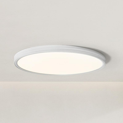 1 Light Exposed Mount Ceiling Sconce with Chalk Fixture Adapted for LED with Polymethyl Methacrylate (pmma) Shade for Residential Use in a Simple Style