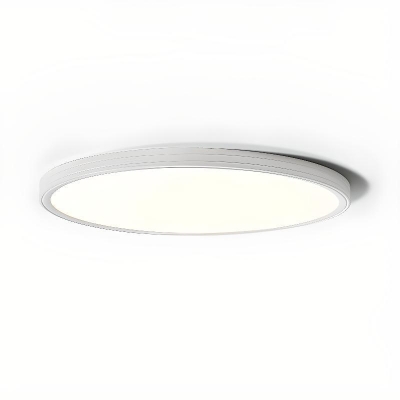 1 Light Exposed Mount Ceiling Sconce with Chalk Fixture Adapted for LED with Polymethyl Methacrylate (pmma) Shade for Residential Use in a Simple Style