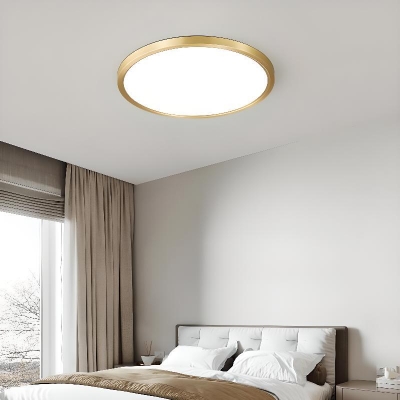 1 Light Round  Flush Mount Polymer Ceiling Lamp with Alloy Fixture for Residential Use Adapted for Led Light Fixture in a Modern Style