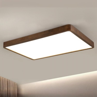 1 Light Lucite Ceiling Light Fixture with Plume Fixture Adapted for Led Light for Residential Use in a Contemporary Style