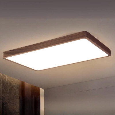 1 Light Lucite Ceiling Light Fixture with Plume Fixture Adapted for Led Light for Residential Use in a Contemporary Style