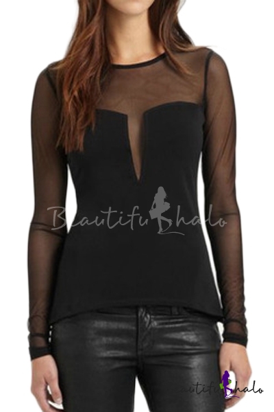 Sheer Paneled Round Neck Long Sleeve Top With Lace Insert 0884