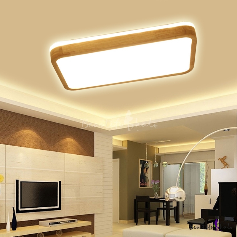 Ceiling light pro