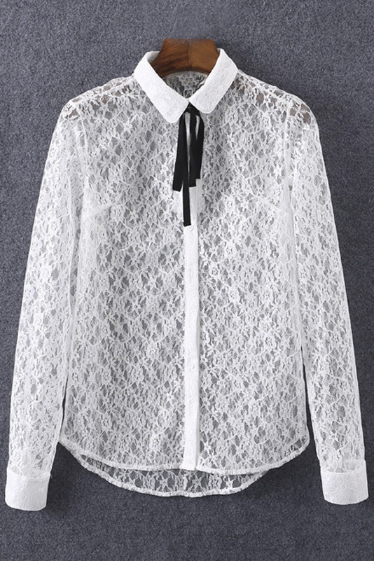 

Lapel Tie Neck Long Sleeve Plain Sheer Lace Shirt, White